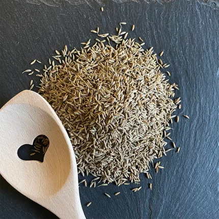 Bio Kreuzkümmel - Cumin ganz